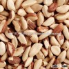 Brazil Nuts - 100% Natural Grade