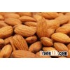 Almond,Peanut Hull,Apricot Kernels,Betel Nuts