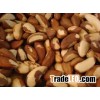 Raw brazil nuts