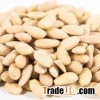 Blanched brazil nuts