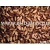 Brazil Nuts