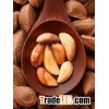 Shelled Brazil nuts/ roasted brazil nut/ Brazil Nuts out of Shelled