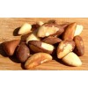 Brazil nuts/ Organic Brazil nuts ( Raw & Shell ) for sale at very good price