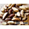 Brazil Nuts Top Quality/ Brazil Nut