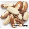 Brazil Nuts - 100% Natural Grade