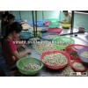 Plain cashew nuts W320, W240 from Vietnam