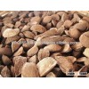 Top Quality Brazil nuts for sale