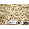 Cashew nut ww320