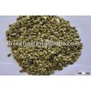Chinese pumpkin seeds kernels