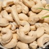 Organic Cashew Nuts in China