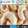 Certified Quality Well Cleaned Cashew Nut W240 W320 W450 for Africa Importers