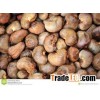 Dried Raw Cashew Nuts W320 W240 W450 Good offer