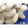 Indian raw cashew nuts for sale