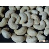 Cashew nut exporter india