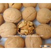 Chinese Thin Organic Walnut In Shell