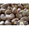 Raw Cashew Nuts w320, w210, w450 for sale !!