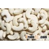 VIETNAM HOT SALE AND BEST QUALITY CASHEW NUTS/ CASHEW KERNELS WW240/ WW320/ WW450/ WS/ LP/