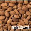 Almonds, Apricot Kernels, Cashew Nuts, Hazelnuts, Macadamia Nut, Pistachio Nuts for Sale