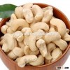 GRADE A PROCESSED CASHEW NUTS W240 Wholesale Cashew Nuts