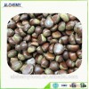 Direct factory of frozen Chestnut