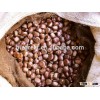 Supply dried chestnut with good quality for sale