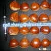 2015 New Crop Easy peeled Fresh Chestnut