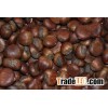 Quality Chestnuts And Brazilnuts Shelled and Without Shells