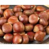 Organic Dried Chestnut