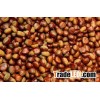 Quality Raw Chestnut Italian bulk chestnuts price