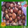 2016 price chestnuts/ chestnuts wholesale/chinese chestnuts for sale