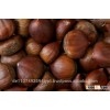 Dried Raw Chestnuts For Sale..