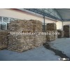 chestnut in china ( best price / direct factory )
