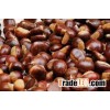 Best Quality Chestnuts available.!!