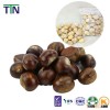 TTN 2015 Hot Sales Chinese fresh Freeze Dried Chestnut
