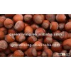 fresh raw chestnut nuts manufacturer in china