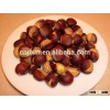 Organic Raw Fresh Chestnut Chinese bulk chestnuts price