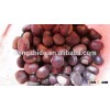 Chinese Fresh Chestnut 2015 crop