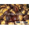 organic roasted chestnuts for sale
