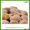 hot sale organic frozen peeled chestnut from chinese supplier
