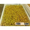 Fresh and Roasted Chestnuts/ roasted chestnut kernel