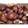 Processed and Unprocessed Chestnuts And Brazilnuts Shelled and Without Shells