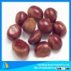 New Chesnut 2014 New crop fresh Dandong chestnut