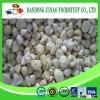 Wholesale new crop Grade A frozen chestnut