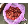 china wholesale market chestnut types