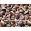 new chinese fresh chestnut