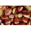 bulk chestnuts