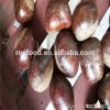 40-50, 50LB gunny bag chinese fresh chestnuts wholesale chestnuts for Canada