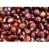 Roasted / Raw Chestnuts And Brazilnuts Shelled and Without Shells
