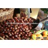 Chestnuts for sale