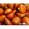 fresh organic chestnut